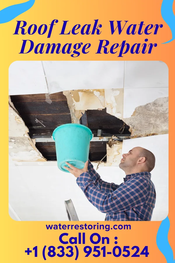 Roof Leak Water Damage Repair in Melrose, IA